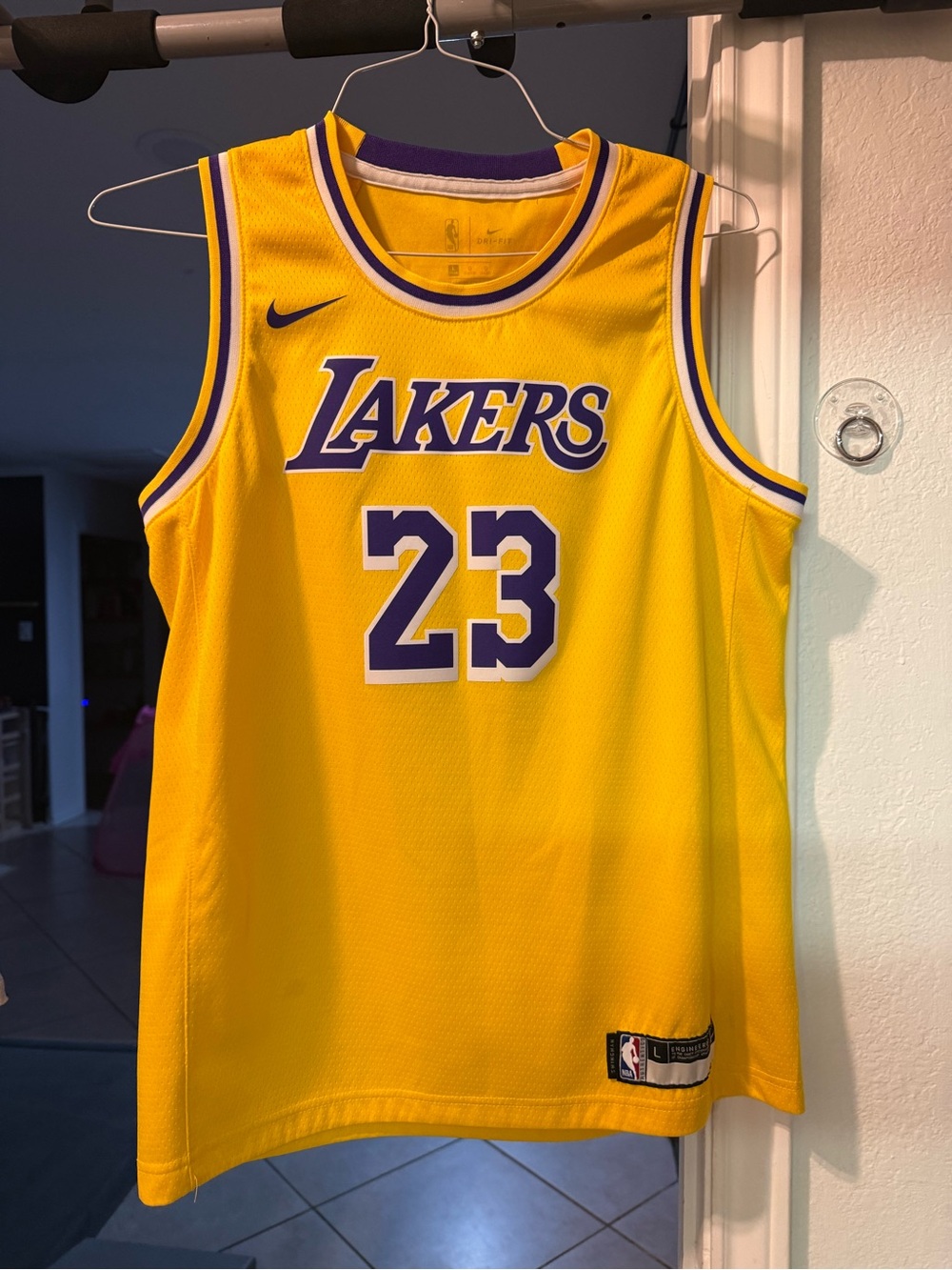 Nike Yellow & Purple Los Angeles Lakers #23 Jersey